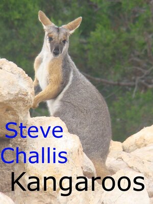 cover image of Kangaroos